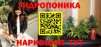 ГАЛЛЮЦИНОГЕННЫЕ ГРИБЫ Обь