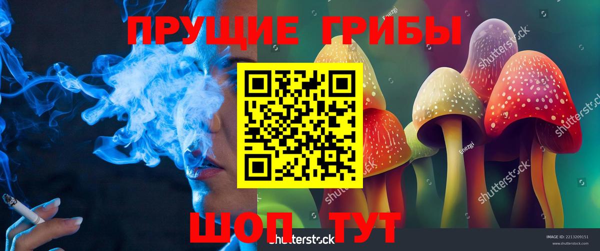 Новосибирск  Галлюциногенные грибы GOLDEN TEACHER  купить наркотик  Вход с VPN 